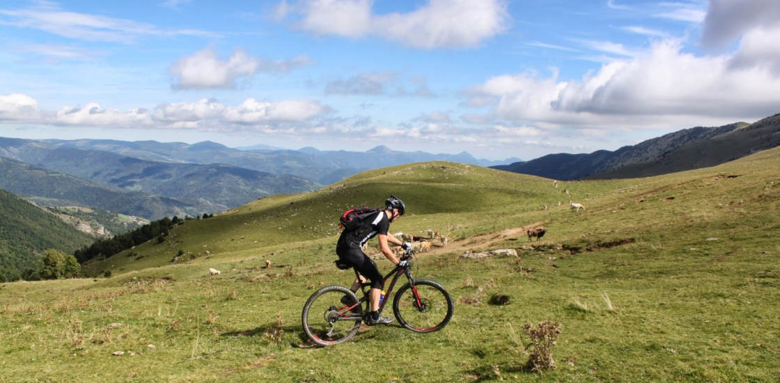 Koeien zijn de enige toeschouwers als je hier biked mountainbiker hoog in alpenweide