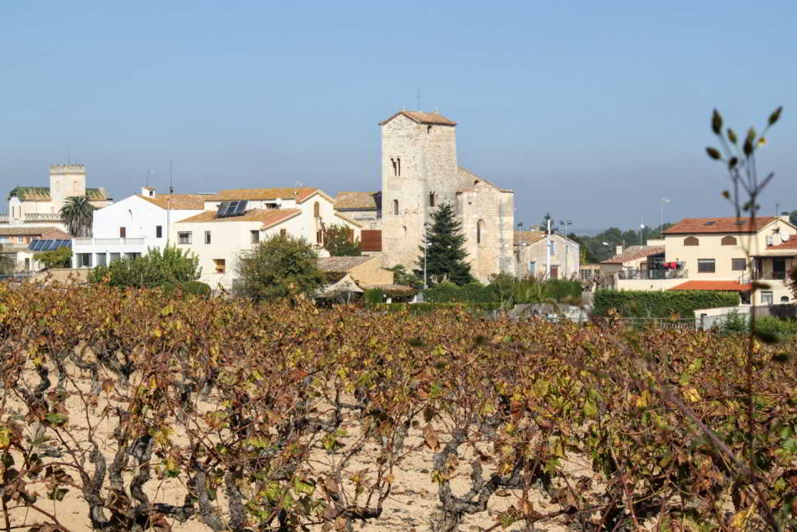 Wijnranken en dorpjes domineren het landschap Wijnranken met dorpje op de achtergrond in Penedès