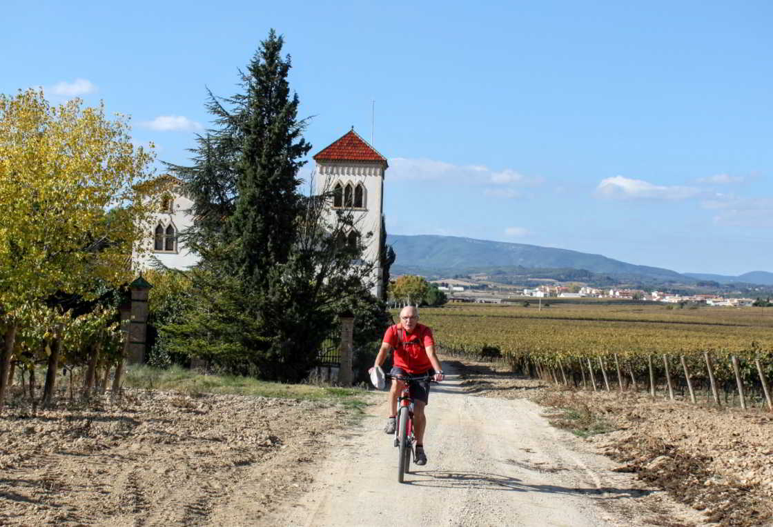 Tal van paadjes slingeren door de wijngaarden fietser met huis op achtergrond in Penedès