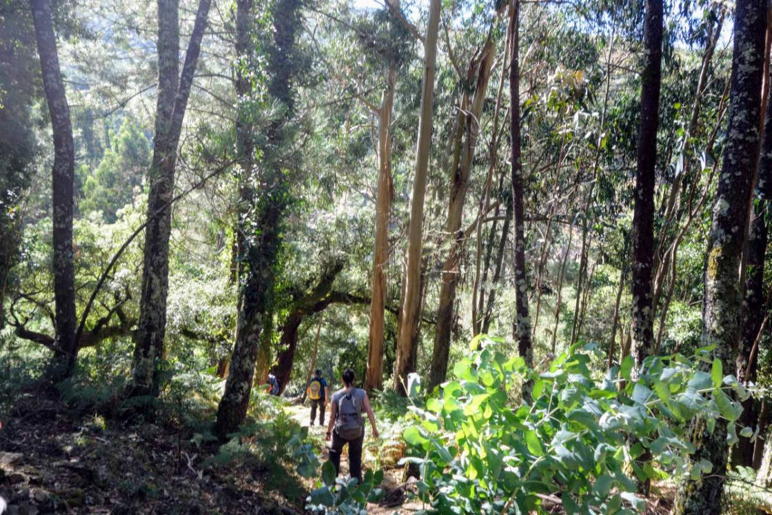 De trail die de kinderen vroeger elke schooldag moesten afleggen... Wandelaar in de Portugese bergen