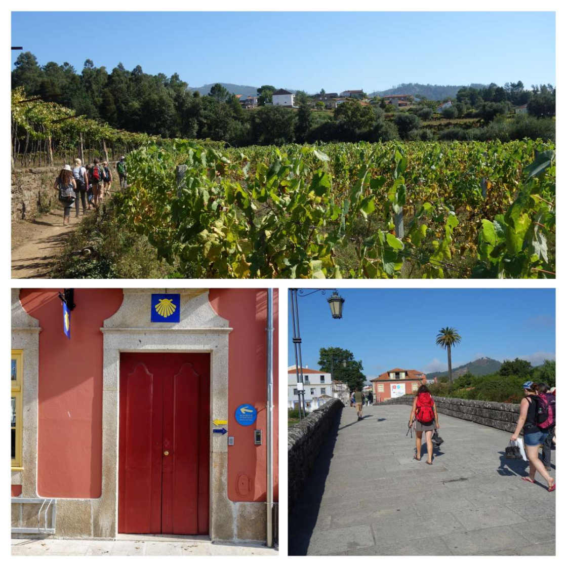 De Portugese pelgrimsroutes zijn populair, en niet alleen bij 'ouderen' College van beelden over wandelen in Noord-Portugal