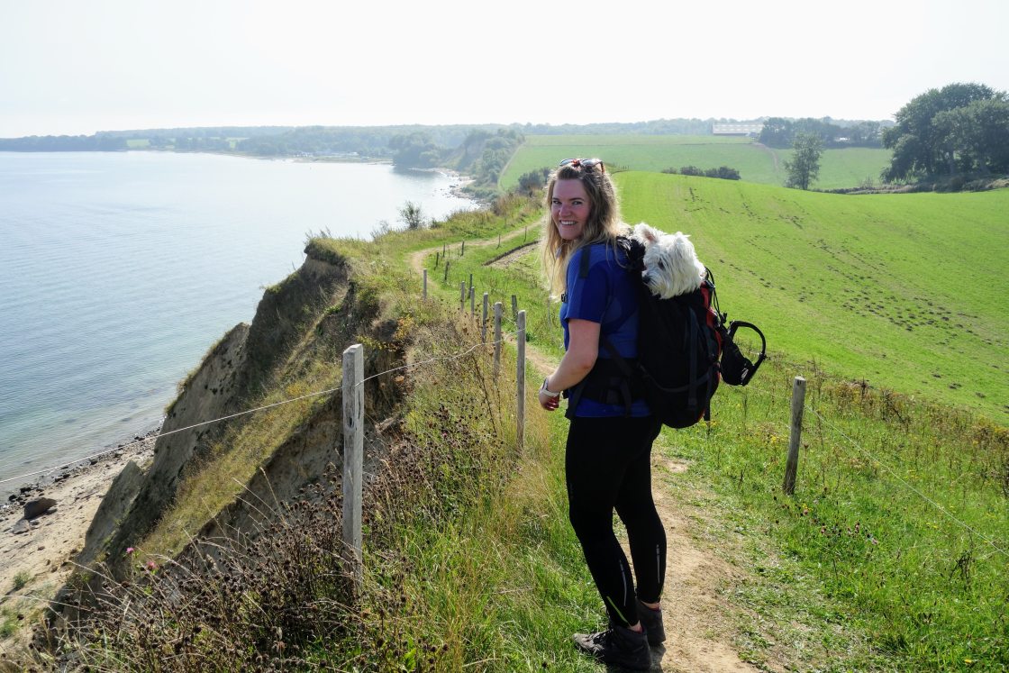 Wandelen met de hond in de rugzak