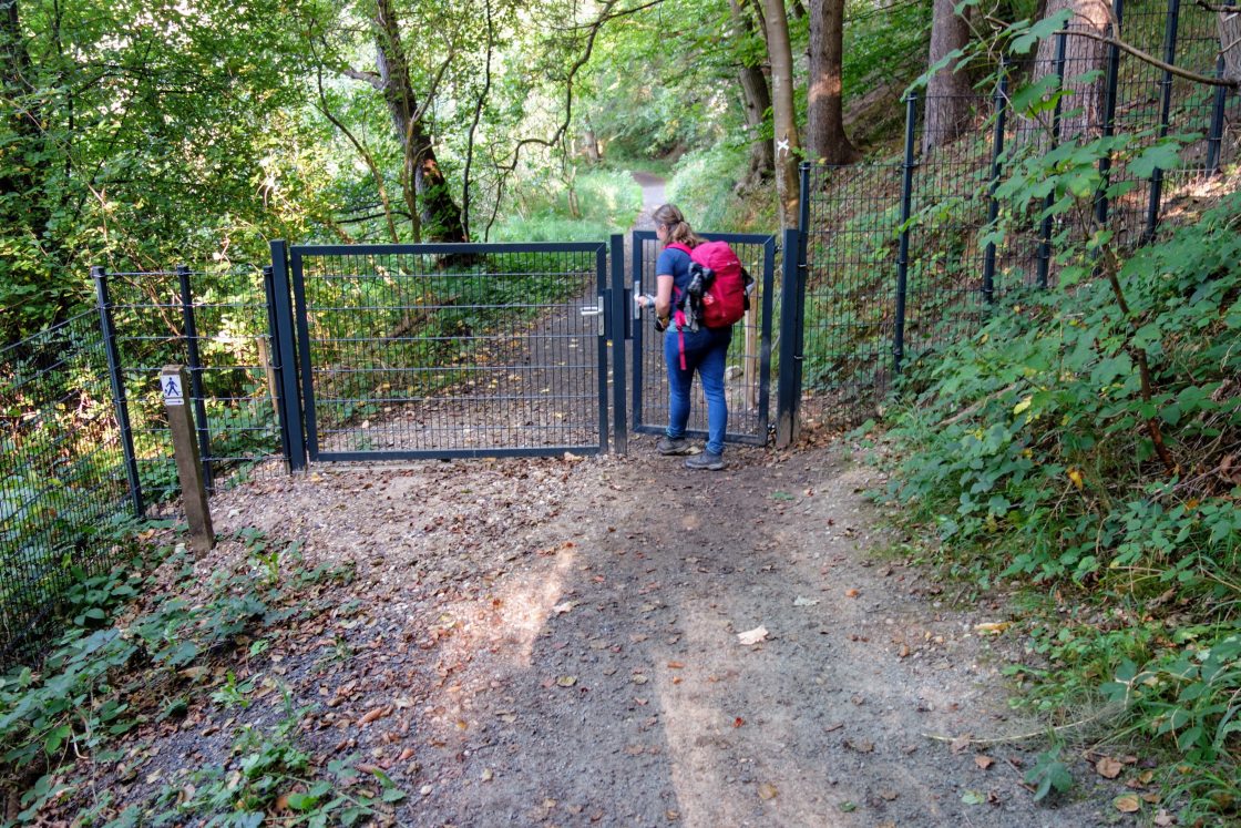 Een klein deel van het Gendarmenpad loopt langs het wildezwijnenhek