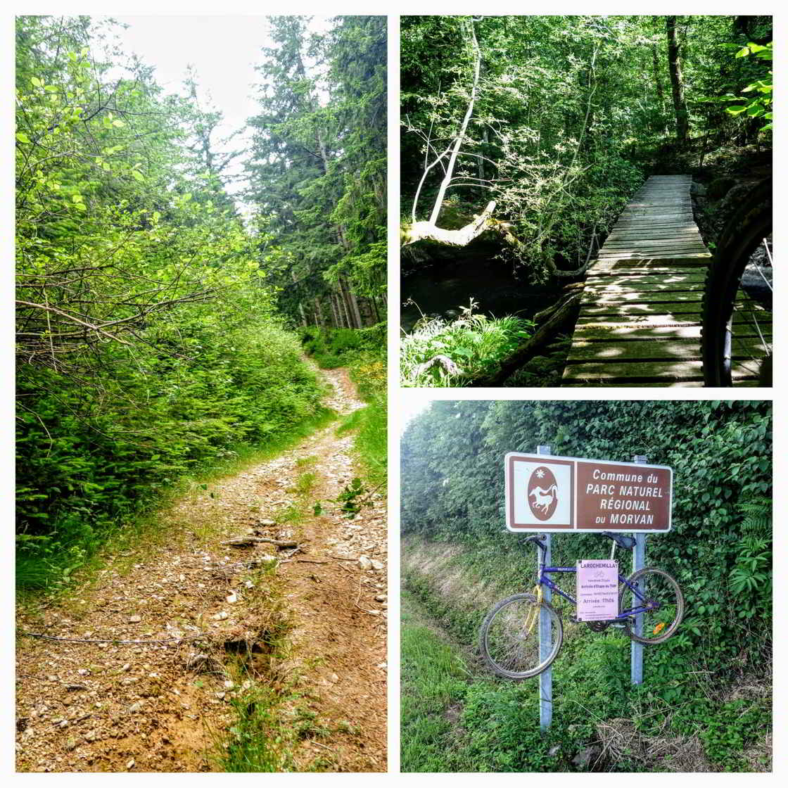 Het natuurpark van de Morvan: speeltuin voor mountainbikers collage van beelden Morvan Natuurpark