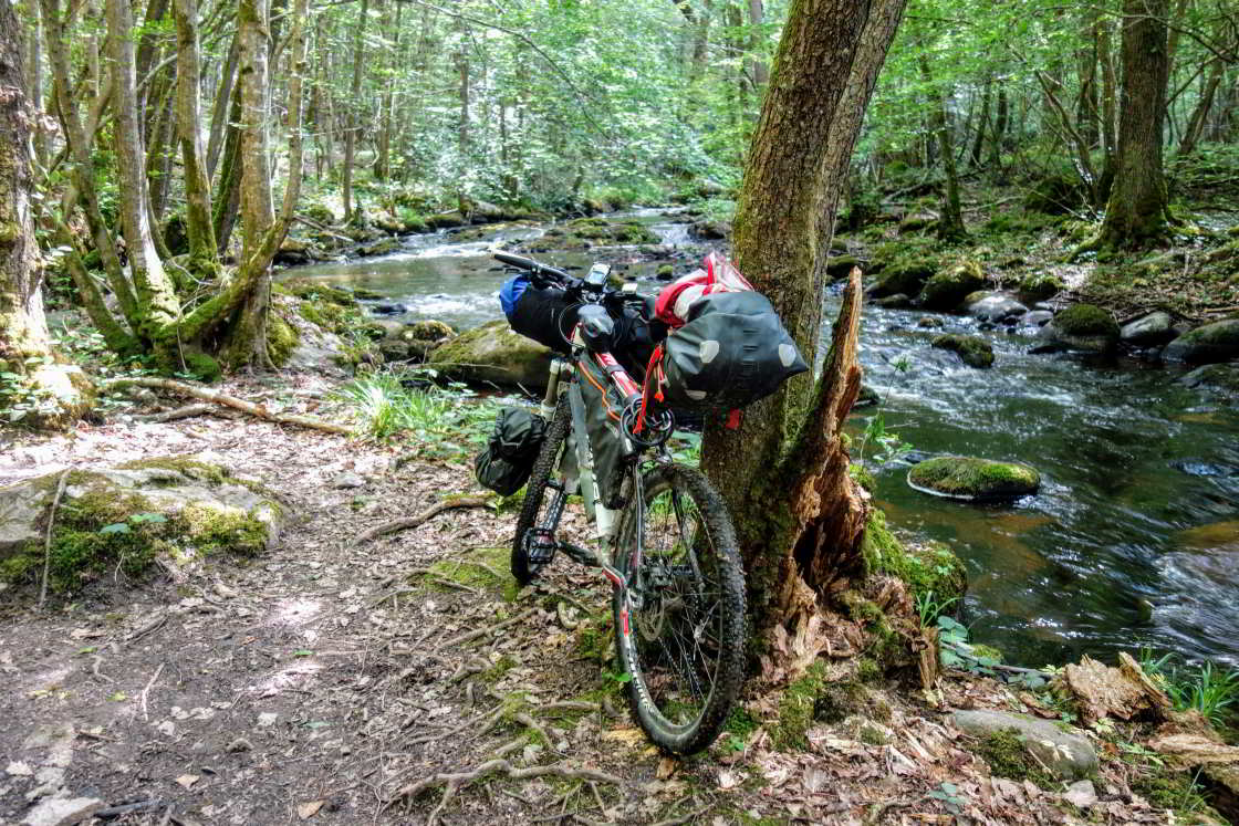 Een heerlijke singletrack langs een riviertje in de buurt van Quarré-les-Tombes mountainbike in het bos langs een rivier