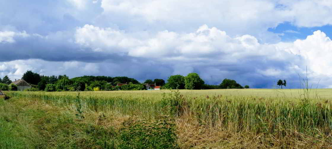 Rust en ruimte langs de Indre Korenveld in de Val de Loire