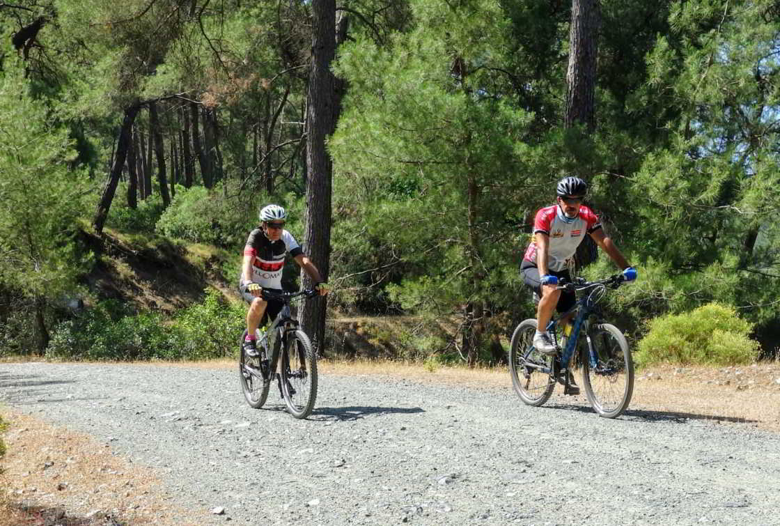 Buiten de stadsgrens beland je direct in de bossen Twee mountainbikers in de pijnboombossen bij Marmaris