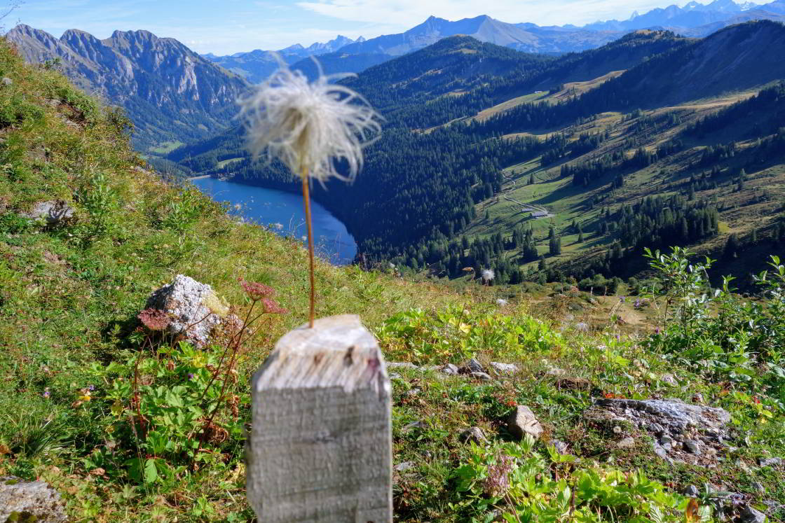Zicht op de blauwe Arnensee berglandschap met meer