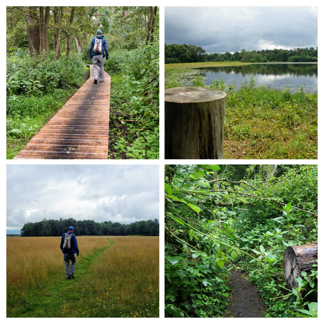 De omgeving biedt veel landschappelijke variatie...